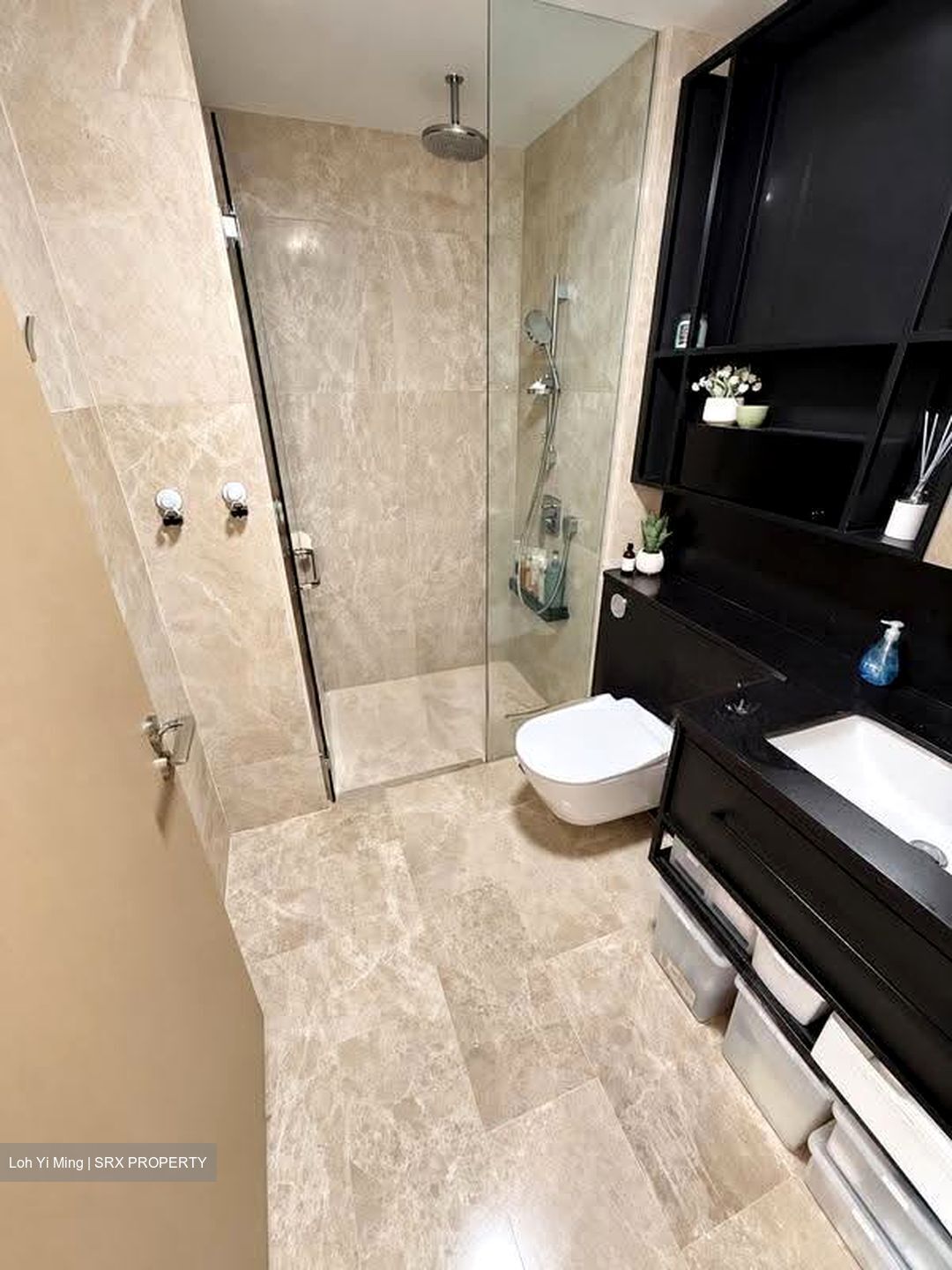 Haus On Handy (D9), Condominium #635070281